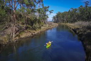 Canoeing down Saintys Creek