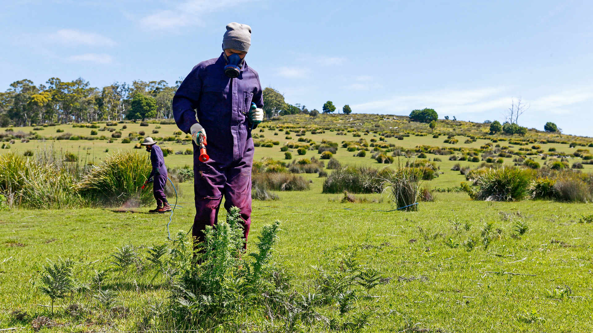 Simpsons Point: Environmental Restoration